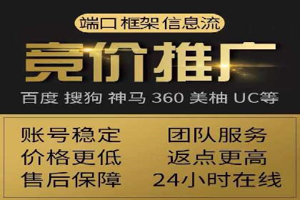 搜索引擎推广的佼佼者——百度搜索推广案例