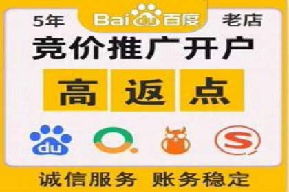 百度竞价排名案例揭秘：广告创意的重要性